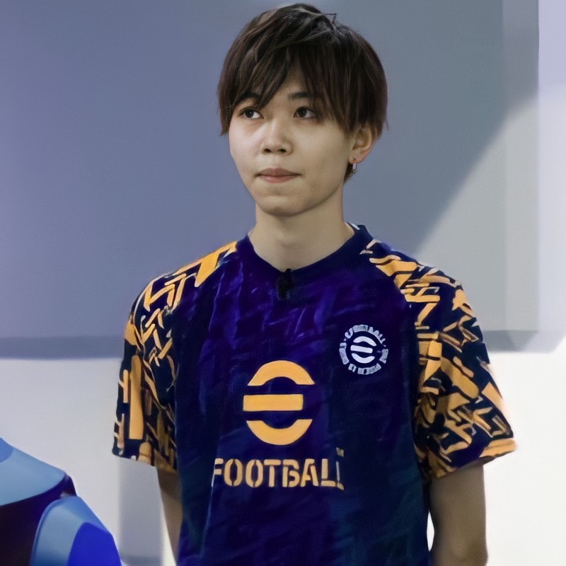 Image hover effect image